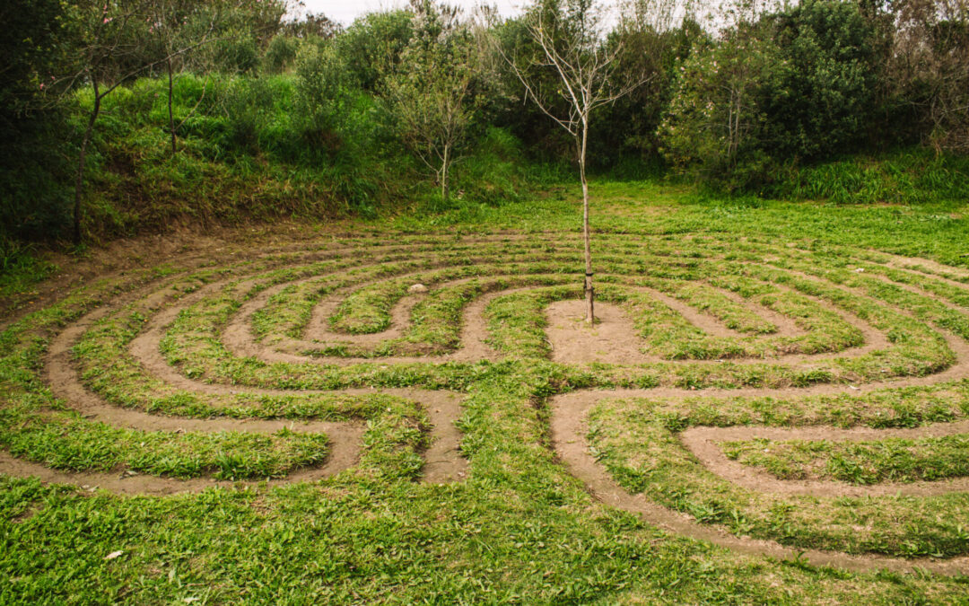 Adolescent peacebuilding: the Montessori way