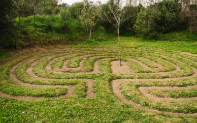 Adolescent peacebuilding: the Montessori way