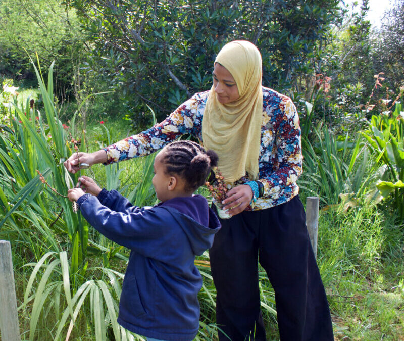 Curiosity and Imagination: The building blocks of lifelong learning