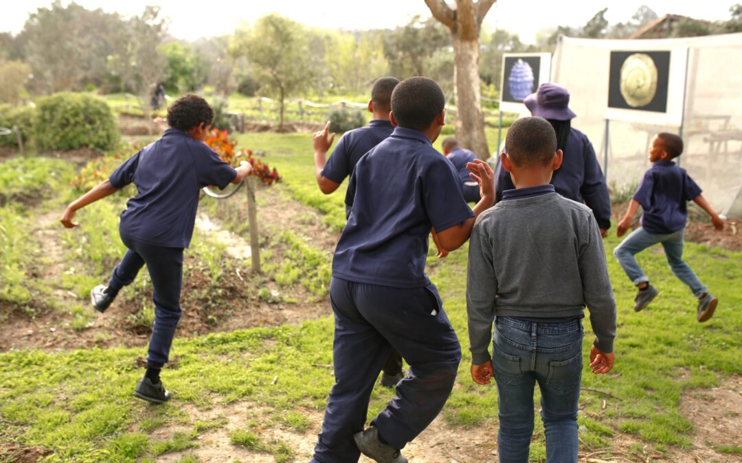 Our latest Impact update