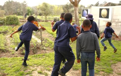 Our latest Impact update