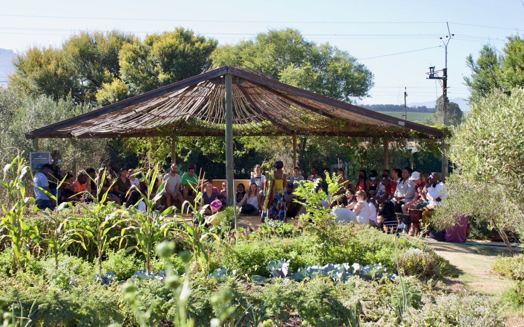 Sustainability Institute honoured as South Africa’s Most Transformative Learning & Social Innovation Organisation 2024