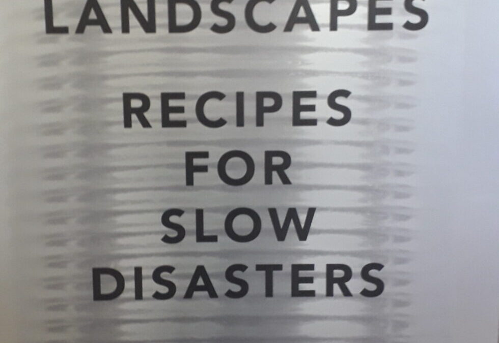 Mapping pathways to healing: Food for Landscapes and Recipes for Slow Disasters, at the Sustainability Institute and beyond