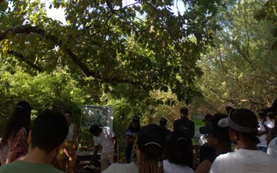 Ecotones of change: Mandela Rhodes Scholars at the Sustainability Institute