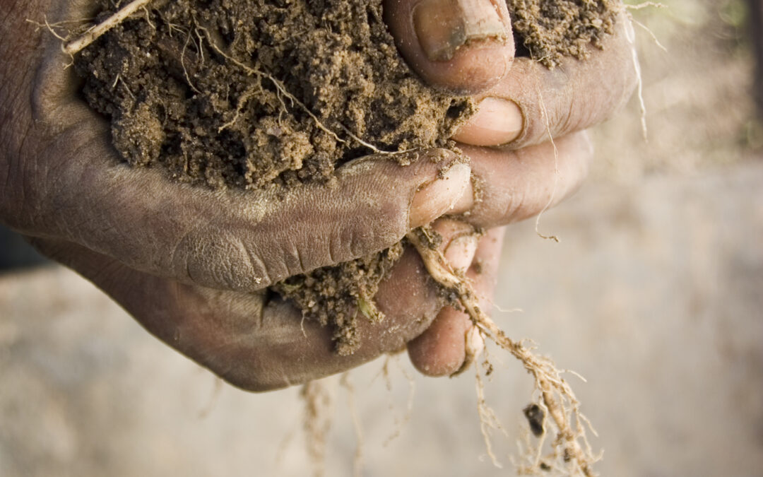 From barren to bounty: 25 years of restoring land and people